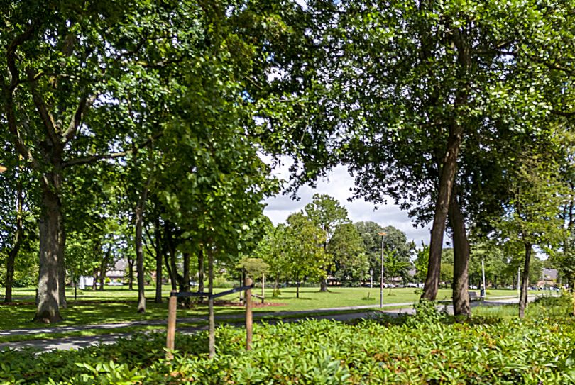Afbeelding Cor Ditewegstraat 16, 3075 PT Rotterdam : 21